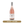 Friends and Lovers Bannockburn Rose 2023
